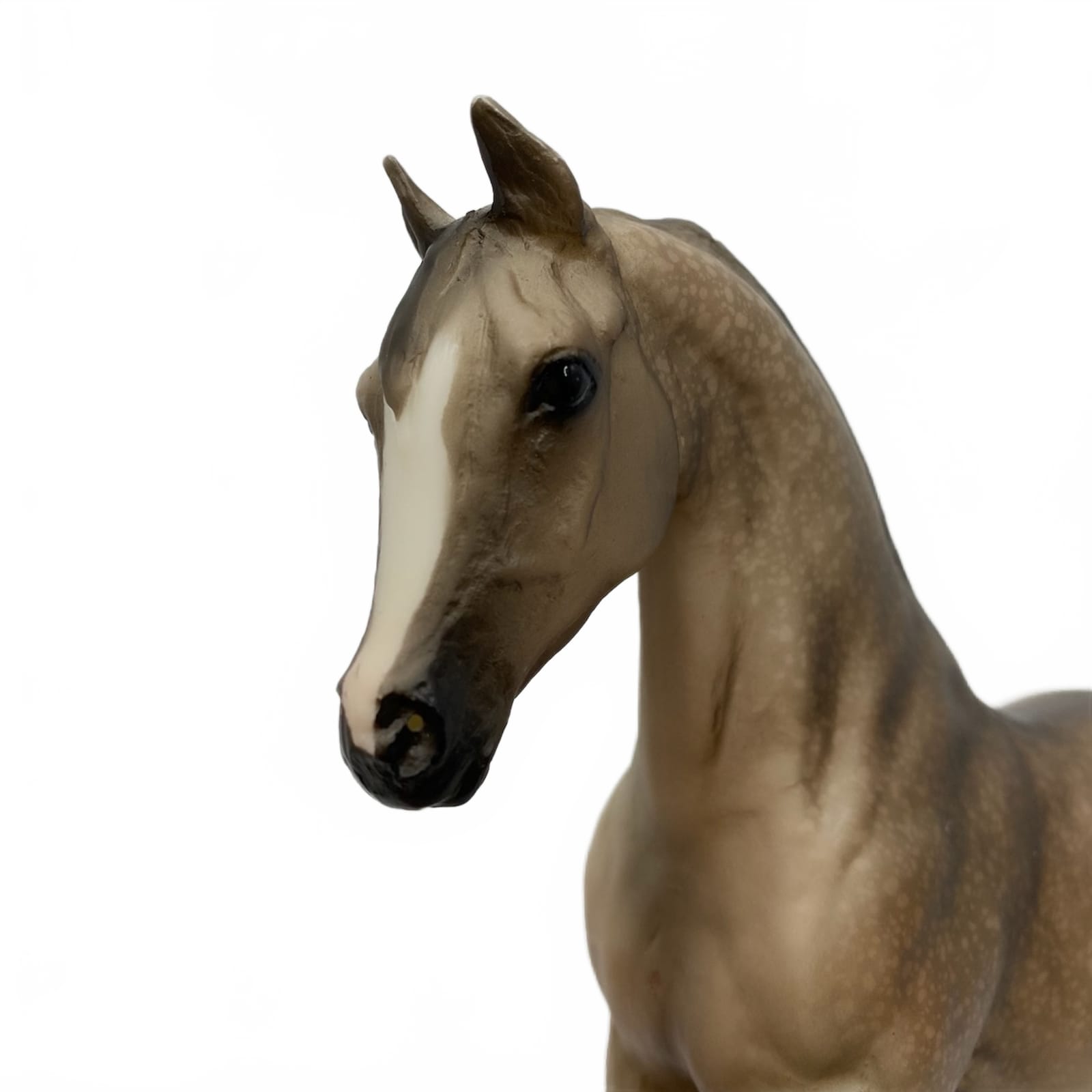 Breyer Freedom Series Cavallo Napoletano - Modello Decorator Scala 1:12 - Giocattolo Dipinto A Mano #62223 - 5